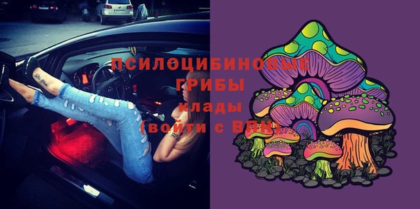 гашик Краснослободск
